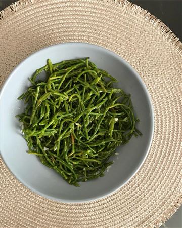 Deniz börülcesi 🍀